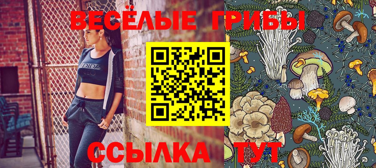 Галлюциногенные грибы Psilocybine cubensis  Псилоцибиновые грибы Psilocybine cubensis  Вход с VPN  Узловая 