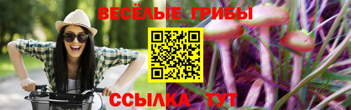 Псилоцибиновые грибы мухоморы Узловая